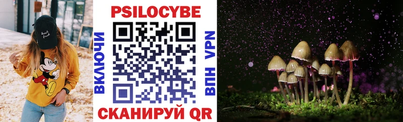 цены наркотик  Балахна  Псилоцибиновые грибы Psilocybe 